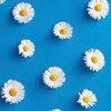 yareli_h